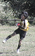 DVC00269_thumb.png