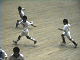 DVC00692_thumb.png