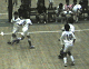 DVC00708_thumb.png