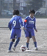 DVC0828_thumb.png