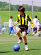 81390012_thumb.png